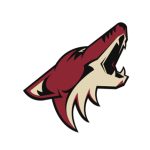 Coyotes Praise Crowd 'Energy' At ASU Arena